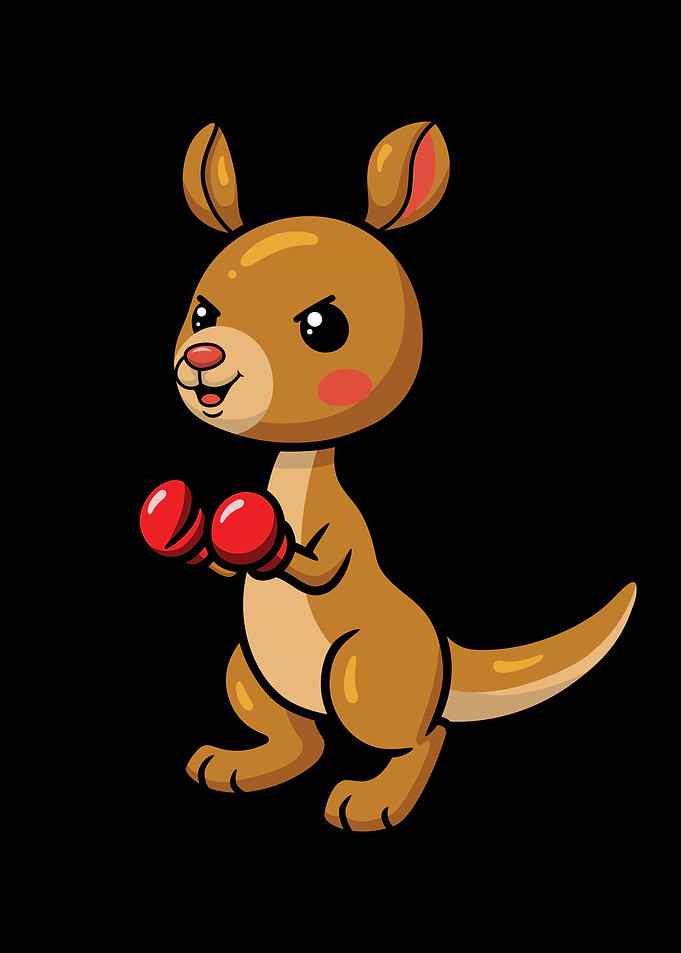 Cute Kangaroo Boxes