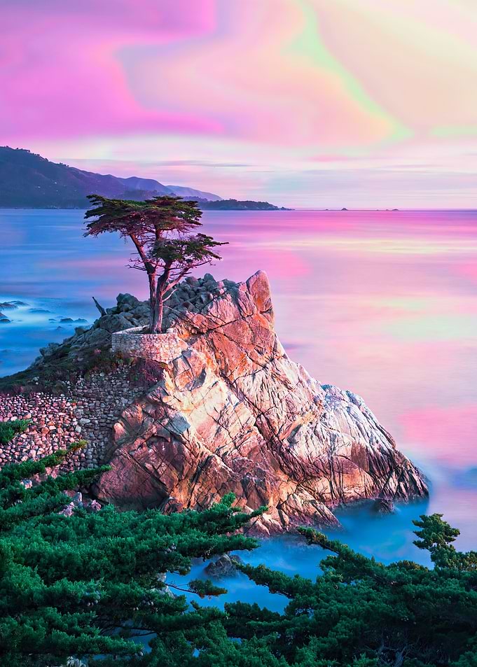 View Nature