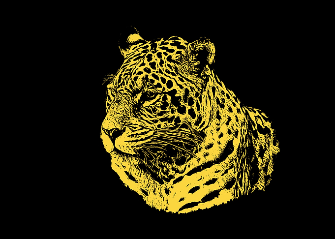 Jaguar portrait