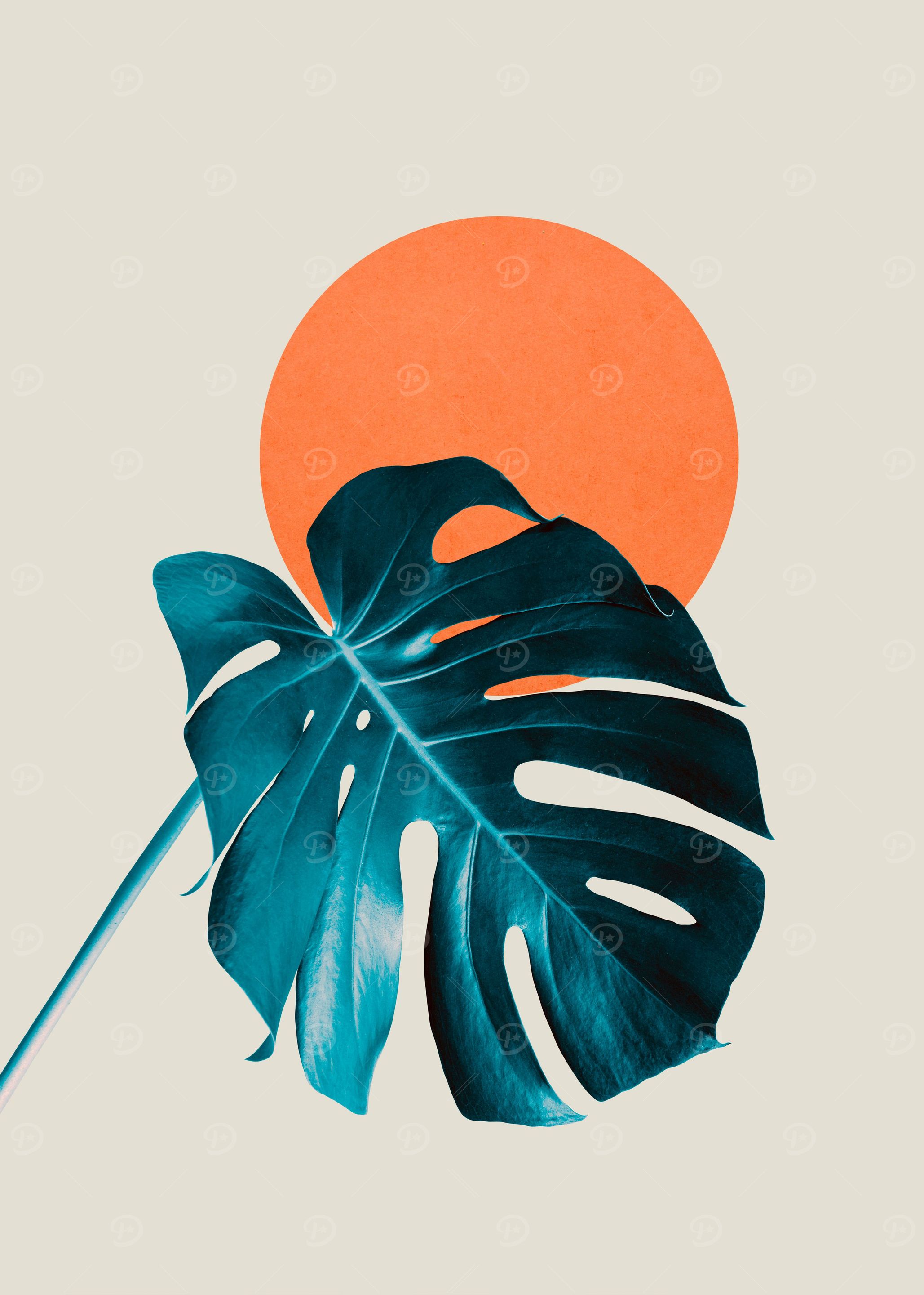 Floral at sunset 08