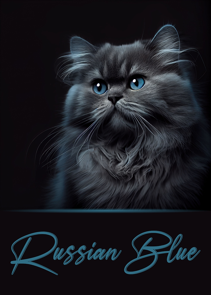 Russian Blue Portrait