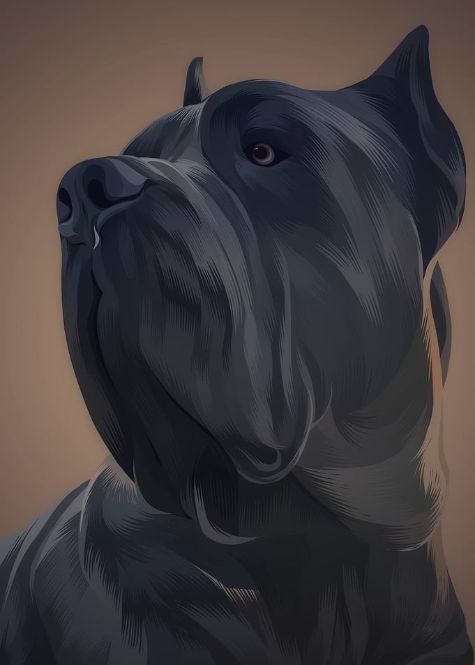 Dog 7
