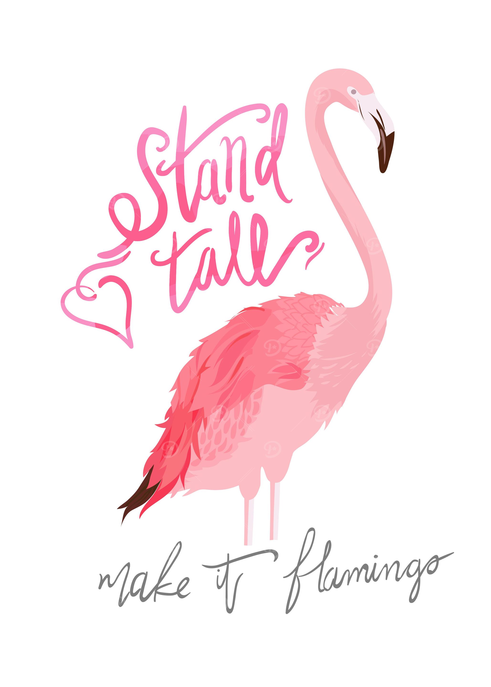 Slogan with flamingo
