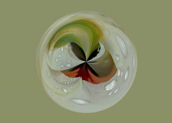 White botanical orb