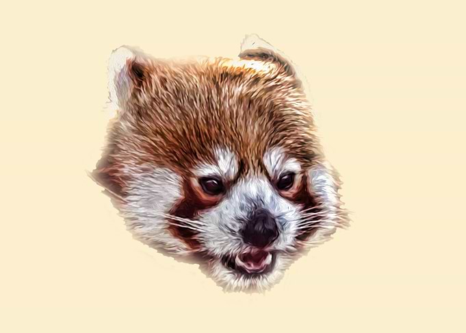 Red panda