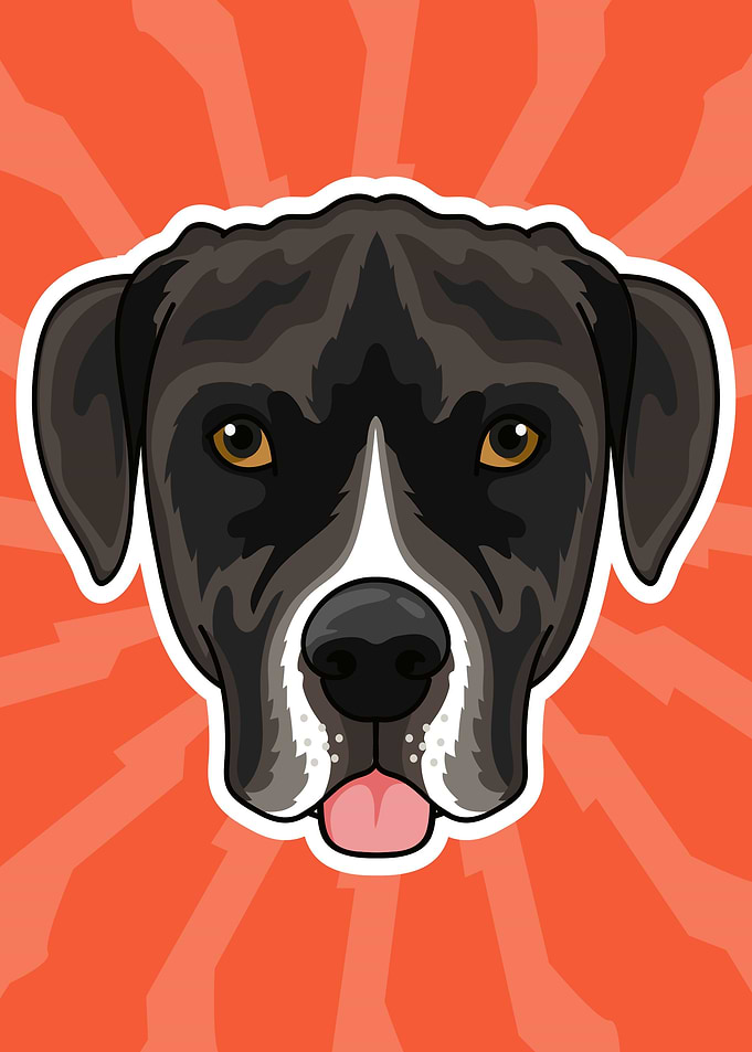 Pit bull head