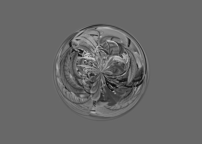 Monochrome grass design