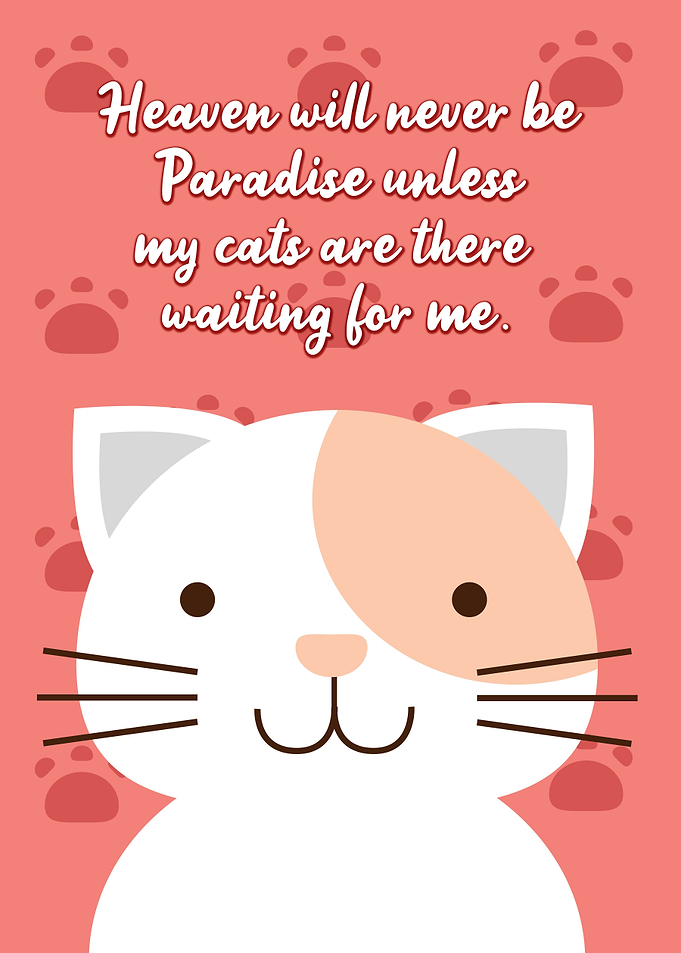 Cute cat quotes