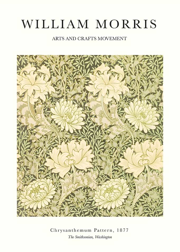 Morri Chrysanthemum