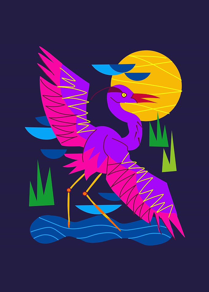 pelican bird