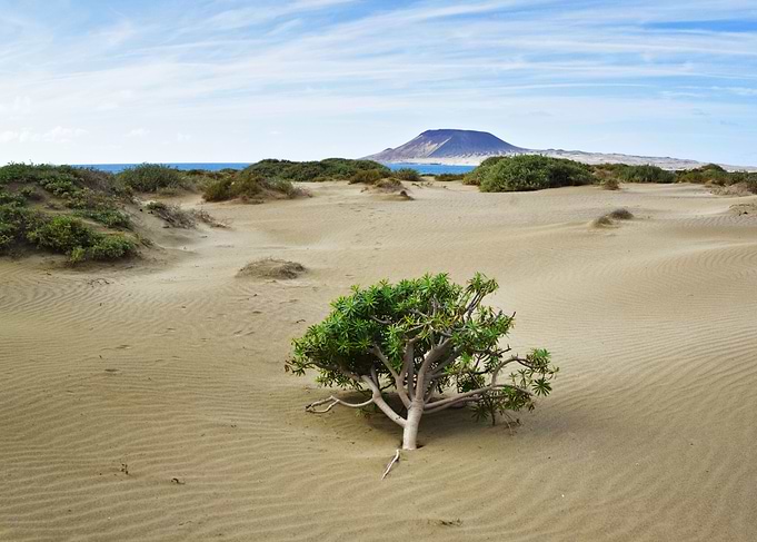 Dunes
