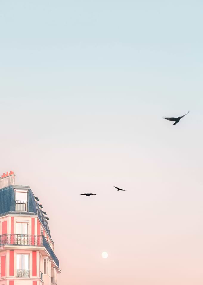 Pink Paris