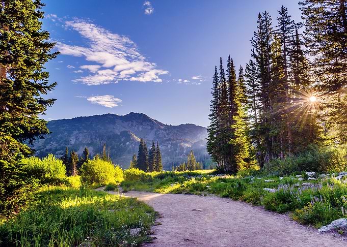 THE ROAD TO THE MOUNTAIN