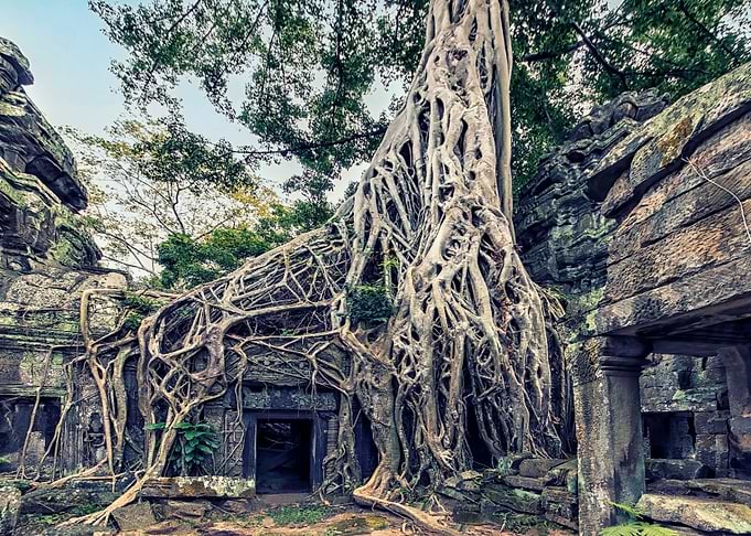 Ta Prohm Temple