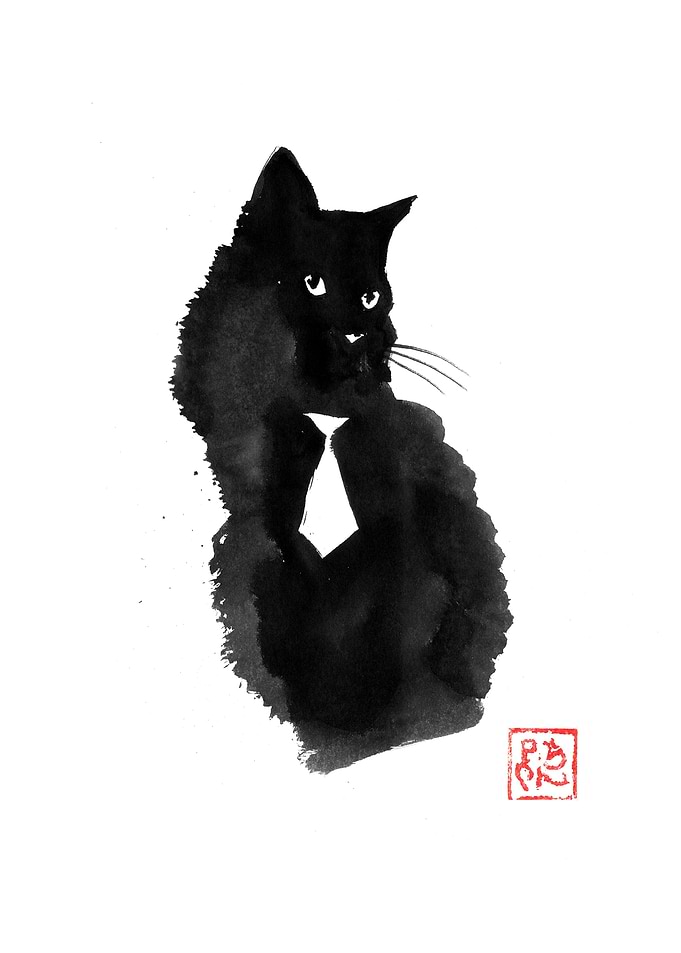 white tie cat