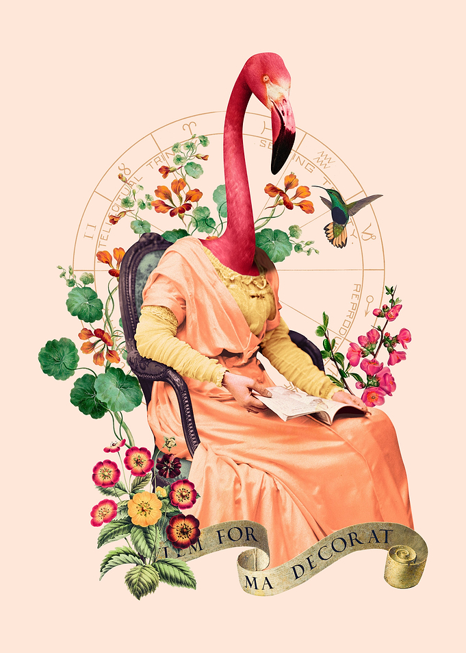 Flamingo Reading