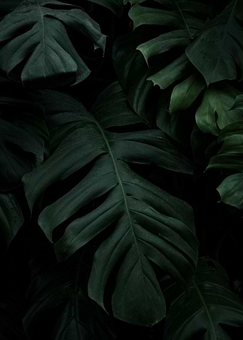 Shades of Green