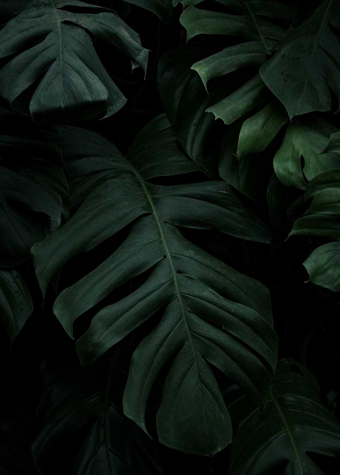 Shades of Green