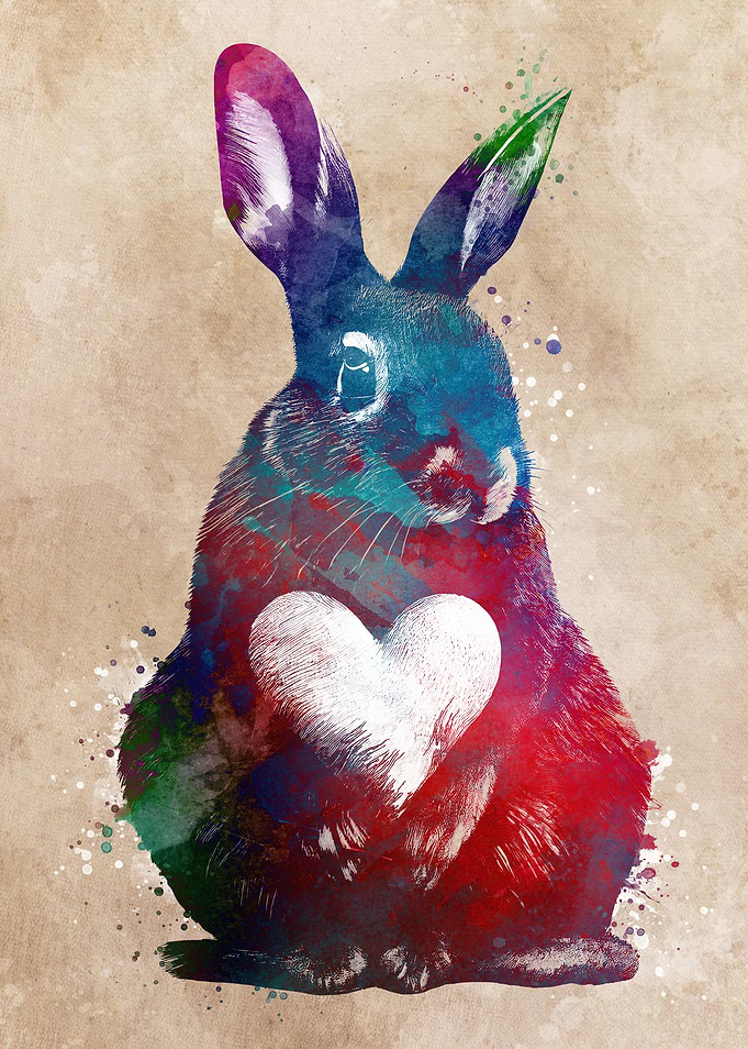 Rabbit heart