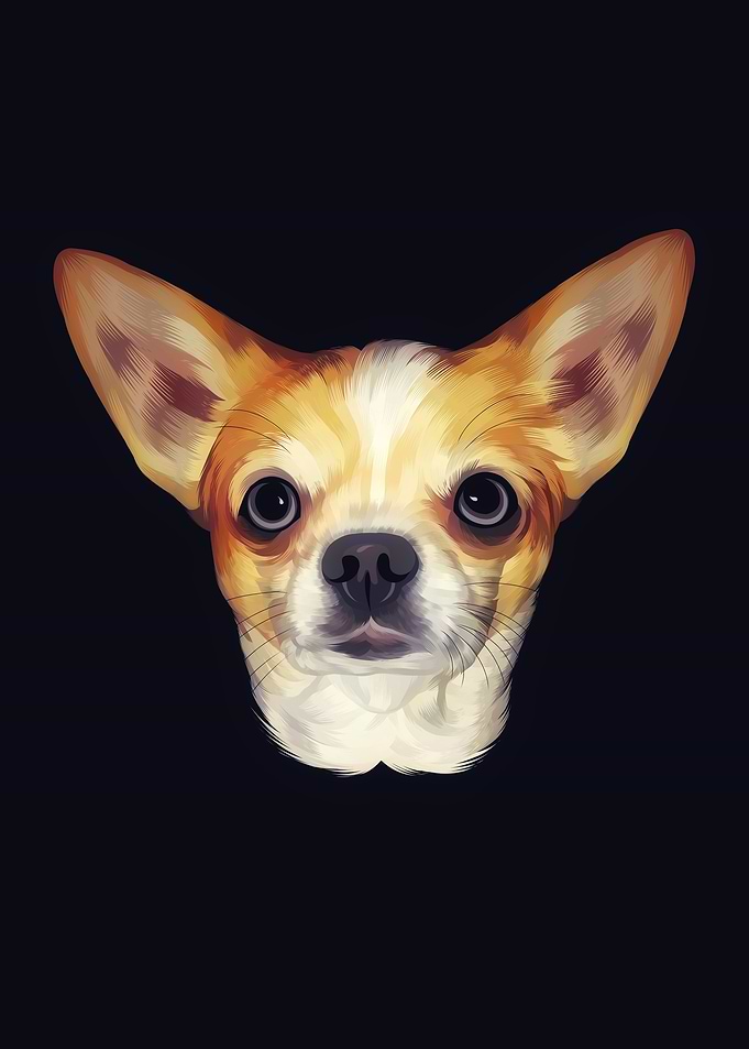 Dog Chihuahua