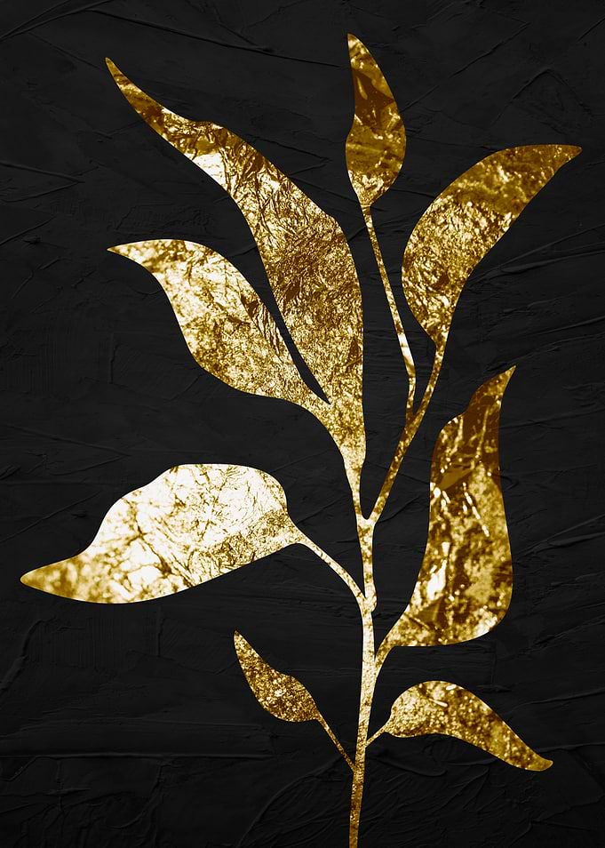 TROPICAL BOTANIC 169B3