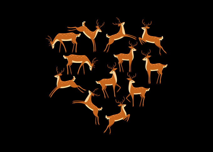deer fawn