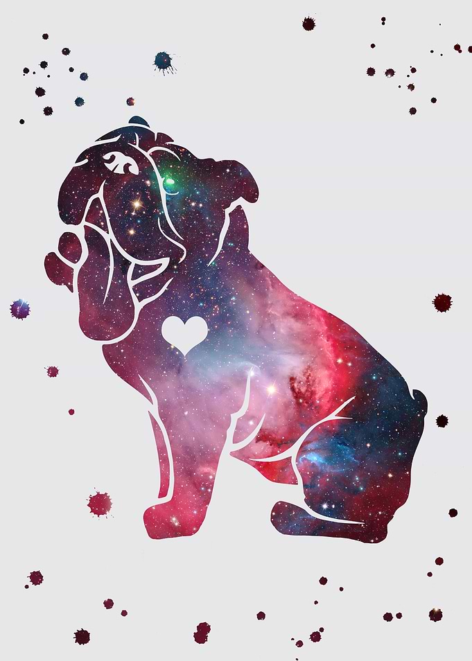 Bulldog nebula