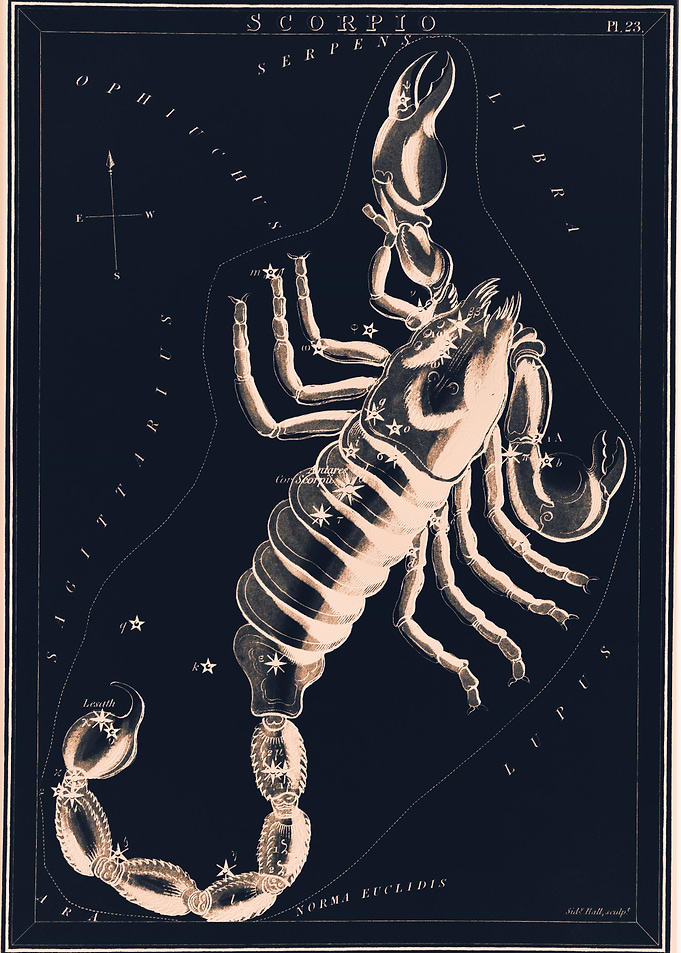 Scorpio astrology zodiac