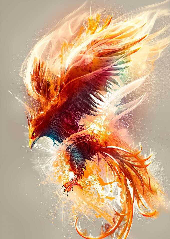 Phoenix Evolution
