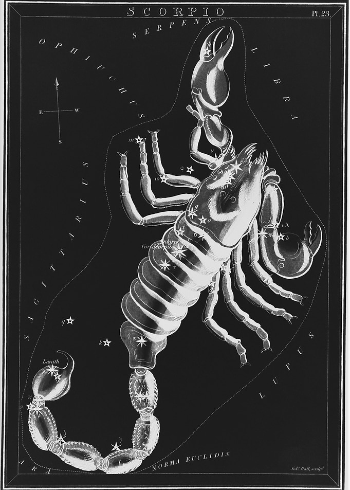 Scorpio astrology zodiac