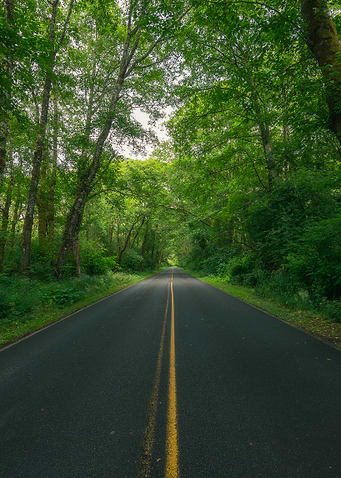Road to paradise
