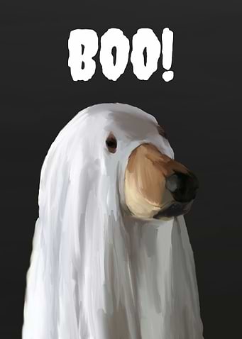 Boo