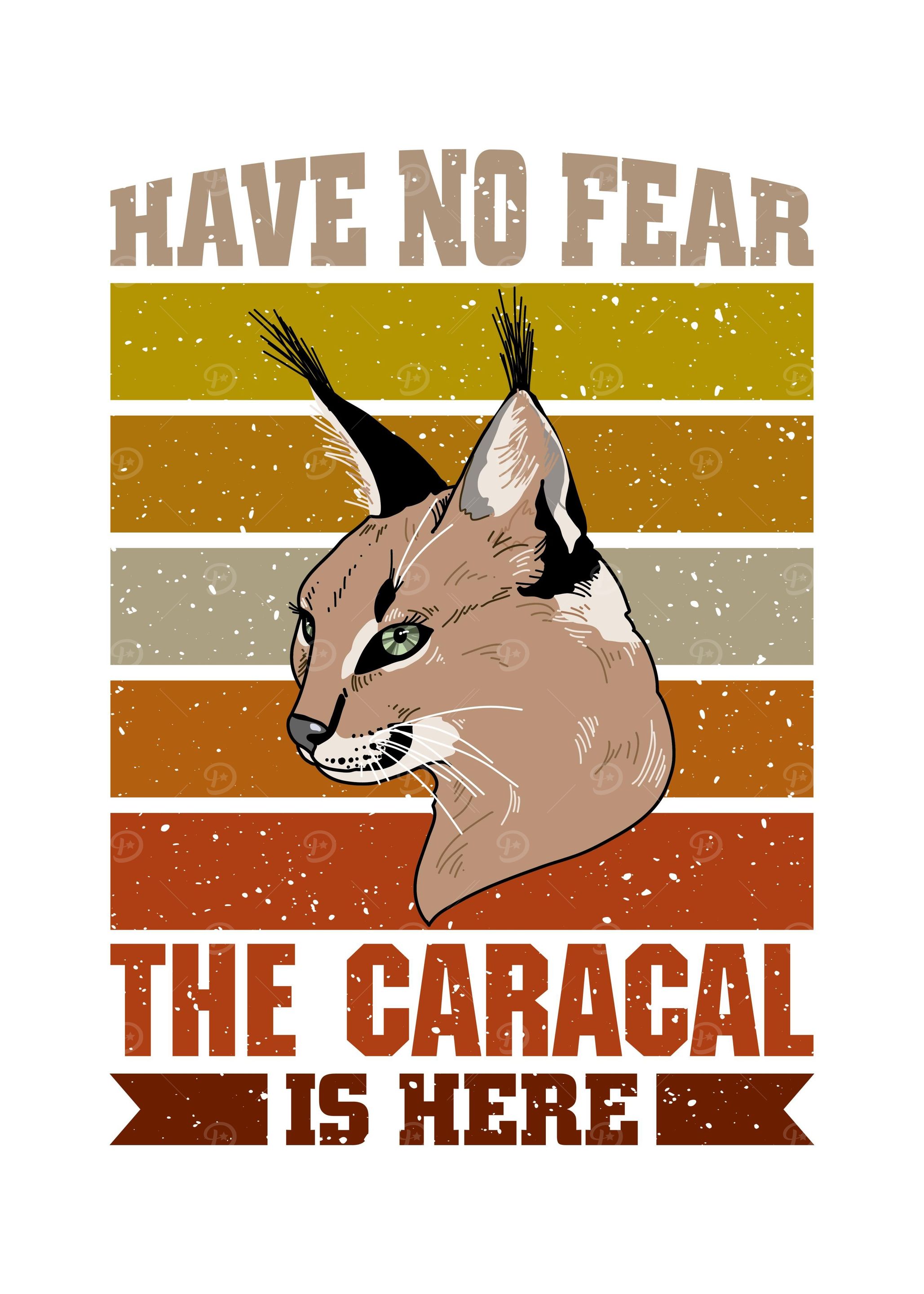 Caracal