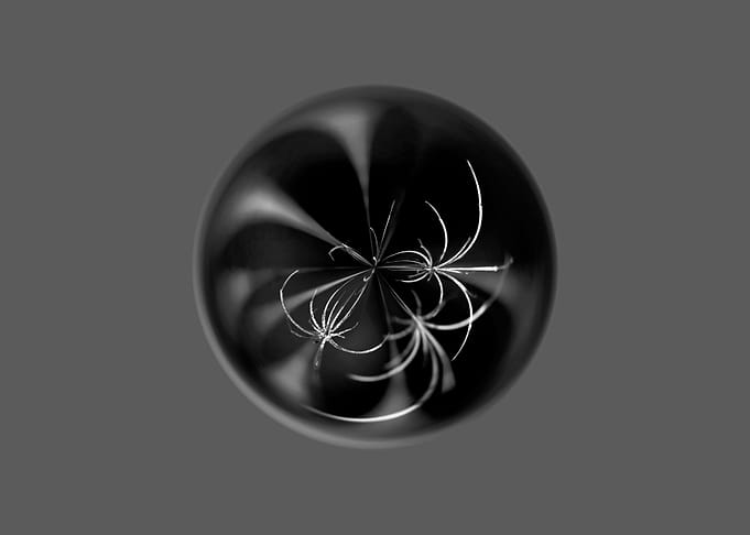 Dead plant abstract art