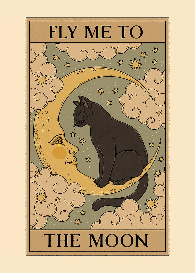 Fly Me to the Moon