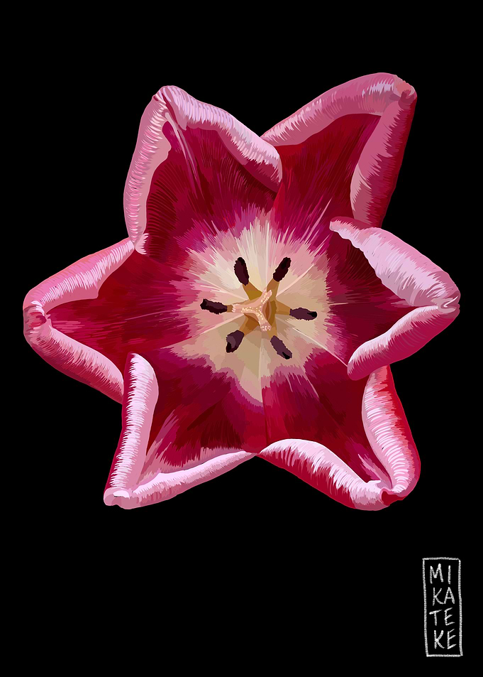 Floral 20230224