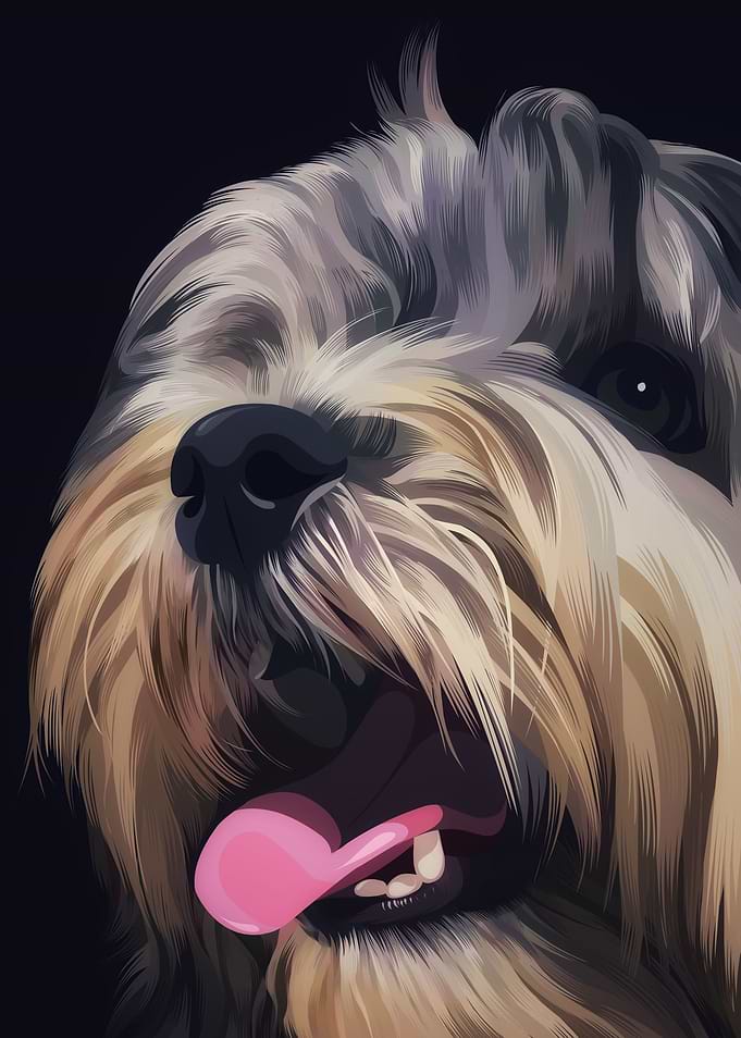 Dog 11