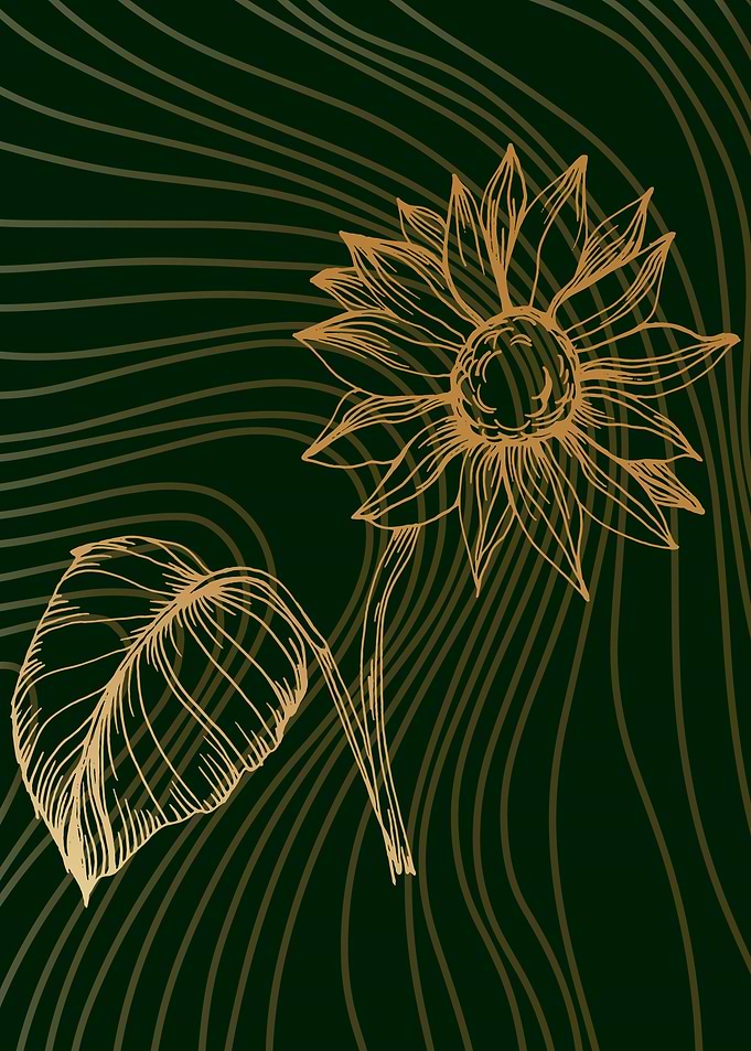 Sunflower Sensations