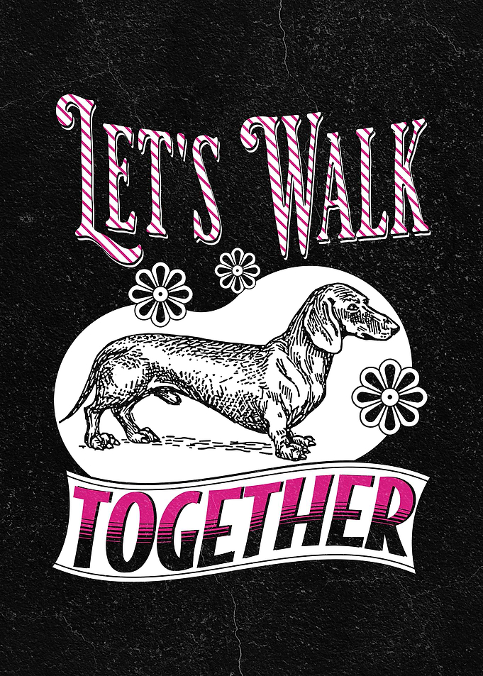 Dachshund Dog Lets Walk
