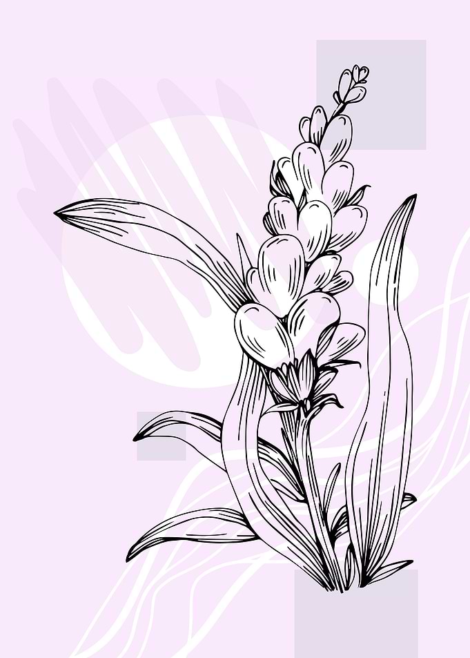 Lavender Poster in Minimal