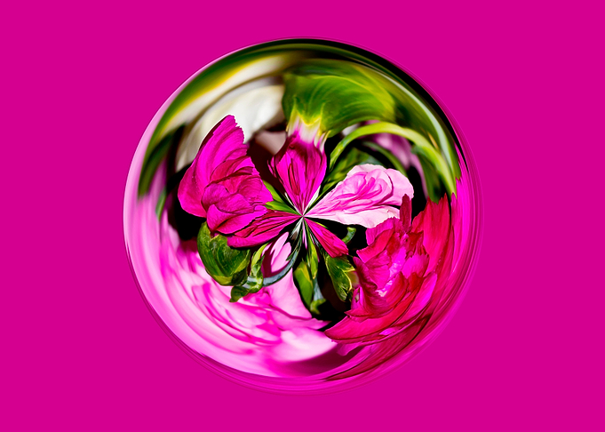 Bright pink floral design