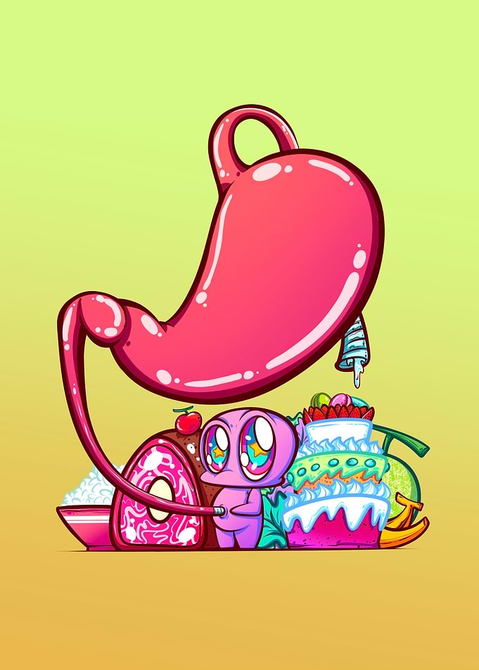 Stomach
