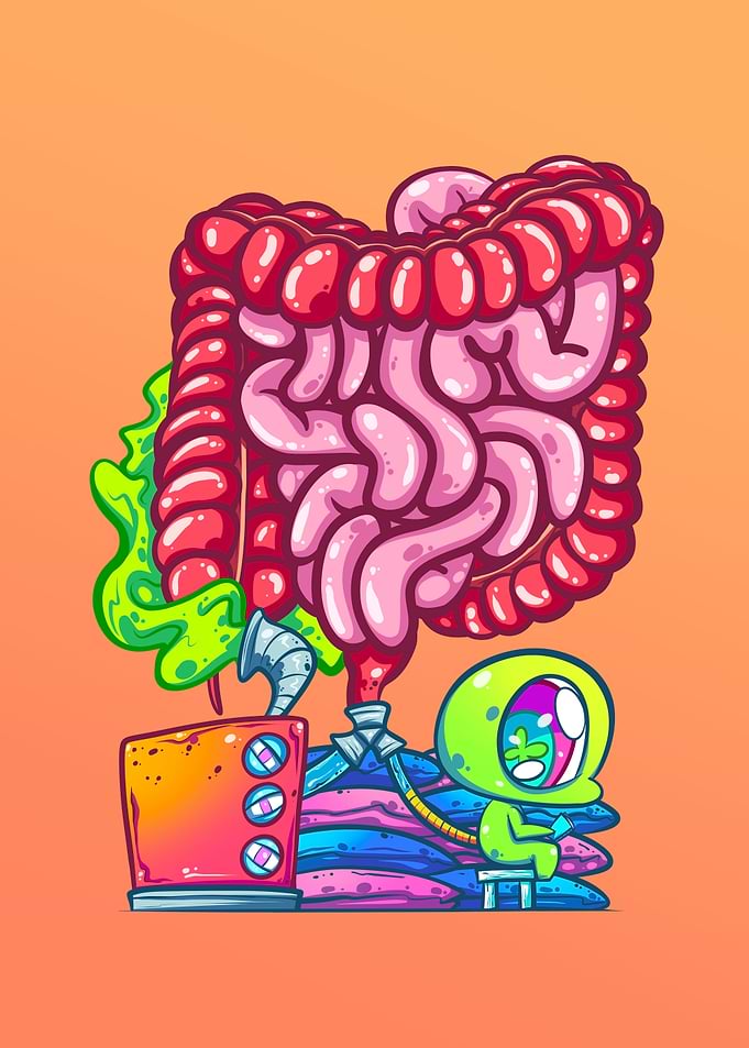 Duodenum