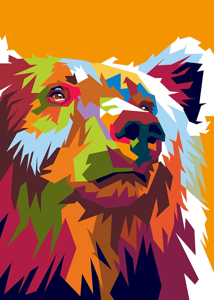 Grizzly Bear