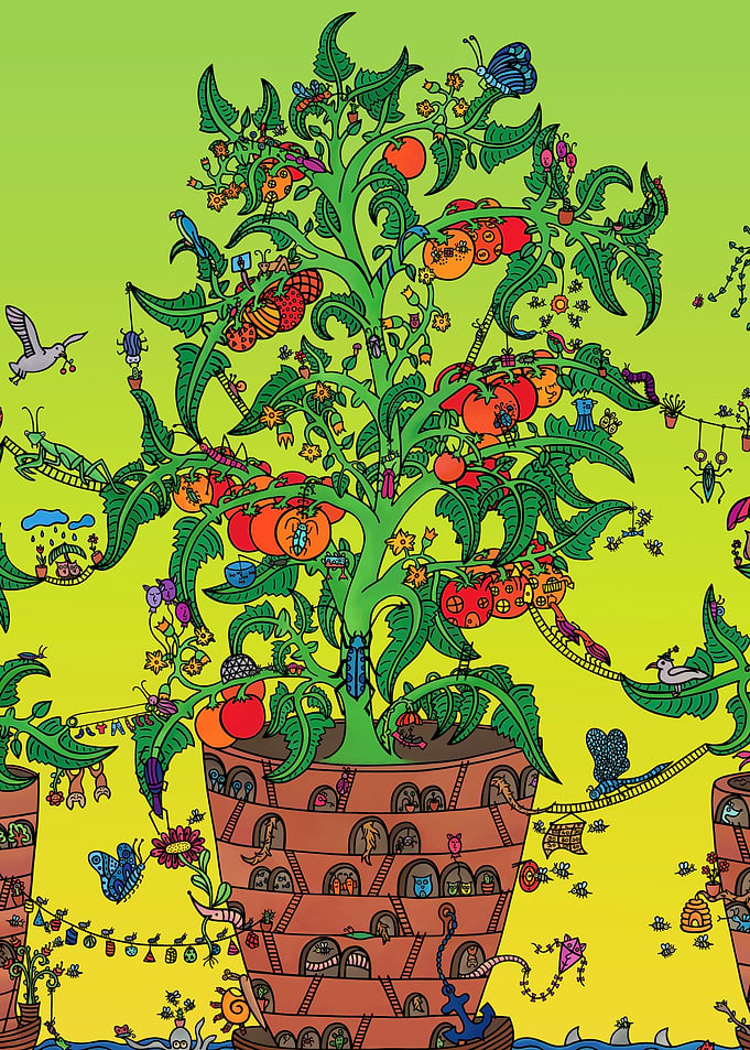 Life on a Tomato Plant
