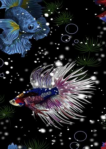 Fish