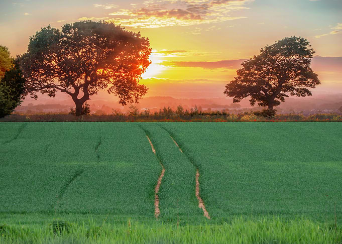 Perfect field
