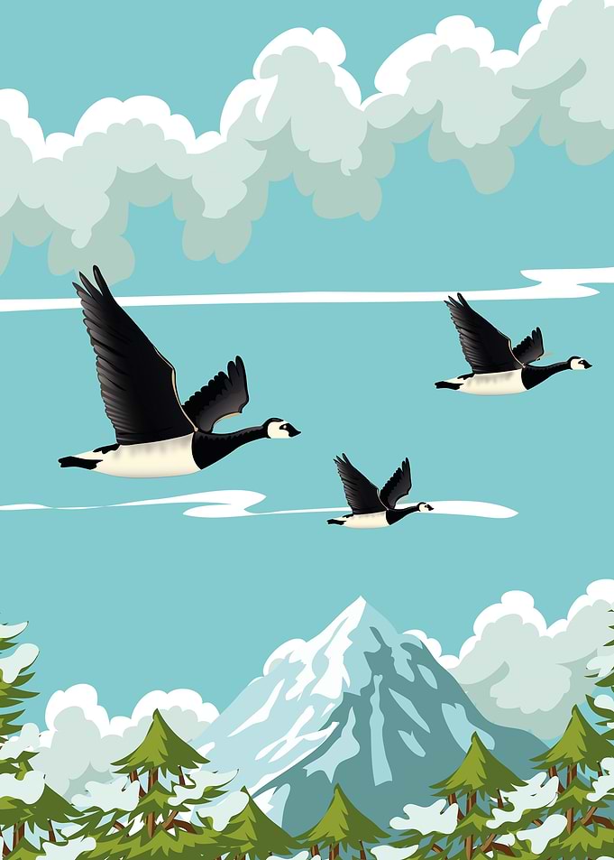 Cartoon Landscape