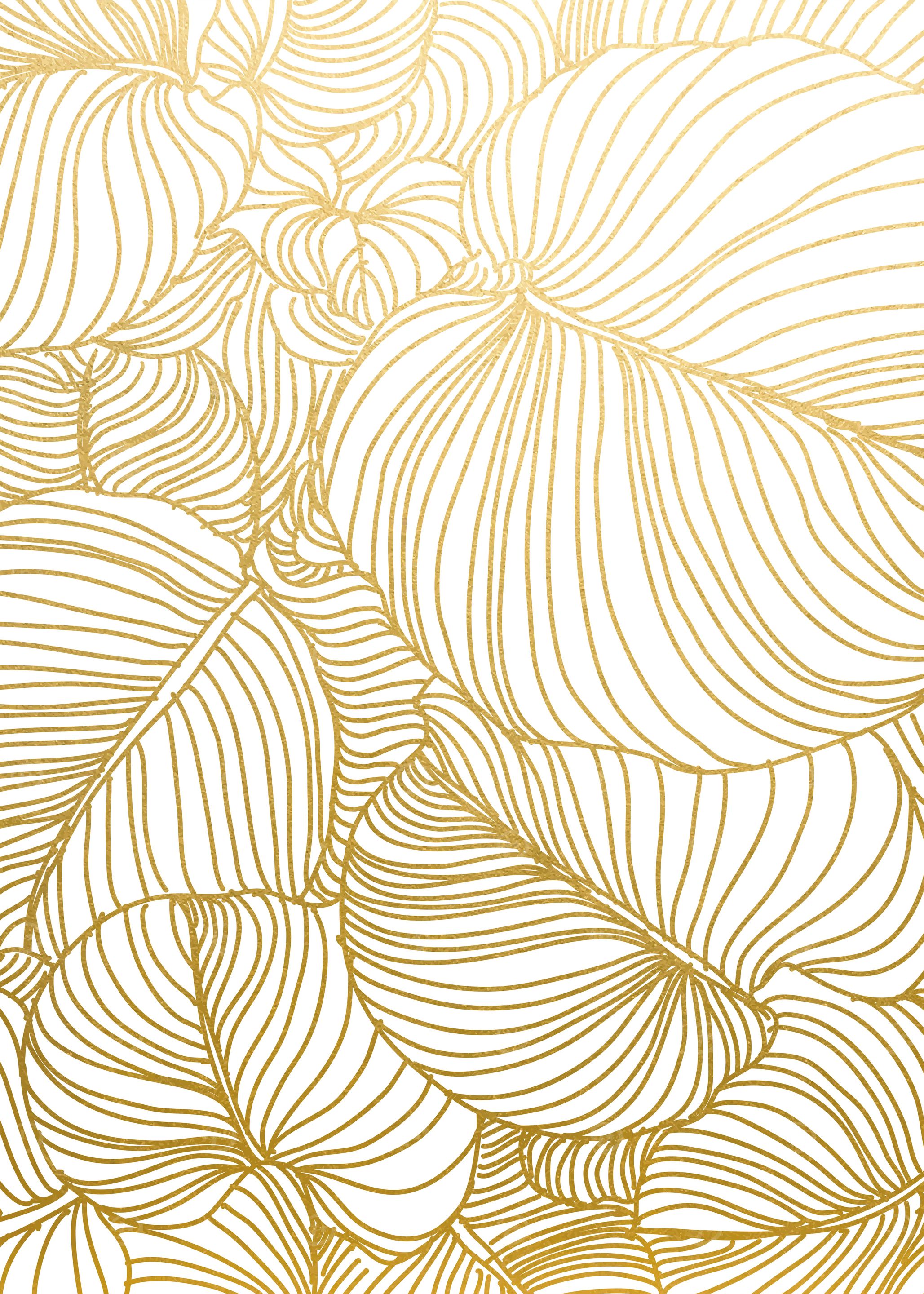 Wilderness Gold
