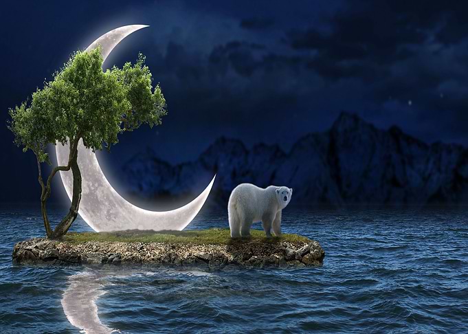 Moon
